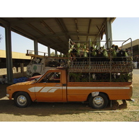 รูปถ่าย สหรัฐอาหรับเอมิเรตส์(United Arab Emirates) อาเลอิน(Al Ain) 2005-03 68
