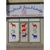 รูปถ่าย สหรัฐอาหรับเอมิเรตส์(United Arab Emirates) อาเลอิน(Al Ain) 2005-03 60