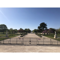 รูปถ่าย ฝรั่งเศส(France) ปารีสช่วงล็อกดาวน์(Paris lockdown) 2020-04 107