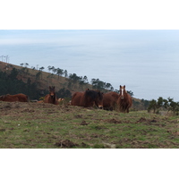 รูปถ่าย ฝรั่งเศส(France) แคว้นบาสก์(Basque Country) 2013-01 103