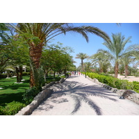 รูปถ่าย อียิปต์(Egypt) ชาร์มเอลชีค(Sharm el Sheikh) 2008-06 32