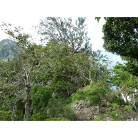 รูปถ่าย ฟิจิ(Fiji) เกาะแคสต์อะเวย์(Castaway Island) 2010-05 49