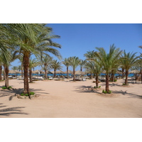 รูปถ่าย อียิปต์(Egypt) ชาร์มเอลชีค(Sharm el Sheikh) 2008-06 34