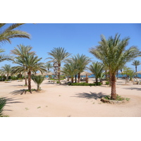 รูปถ่าย อียิปต์(Egypt) ชาร์มเอลชีค(Sharm el Sheikh) 2008-06 42