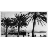 รูปถ่าย ฝรั่งเศส(France) คอร์สิคา(Corsica) โปสการ์ดเก่า(Old Postcards) 1900-01 286