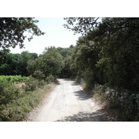 รูปถ่าย ฝรั่งเศส(France) โซเมียร์(Sommieres) 2006-06 33
