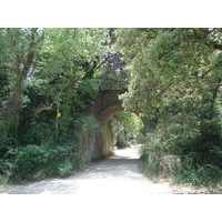 รูปถ่าย ฝรั่งเศส(France) โซเมียร์(Sommieres) 2006-06 18