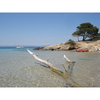 รูปถ่าย ฝรั่งเศส(France) เกาะปอร์เกอรอล(Porquerolles Island) 2006-06 69
