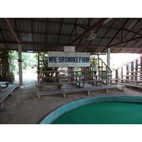 รูปถ่าย ไทย(Thailand) เชียงใหม่(Chiang Mai) ฟาร์มงูแม่สา(Mae Sa Snake Farm) 2010-12 10