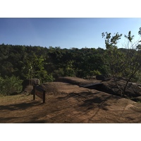 รูปถ่าย ไทย(Thailand) อุทยานแห่งชาติภูหินร่องกล้า(Phu Hin Rong Kla National Park) 2014-12 159