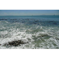 รูปถ่าย แอฟริกาใต้(South Africa) เคปทาวน์(Cape Town) โรงแรมแรดิสัน(Radisson Hotel) 2008-09 14