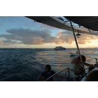 รูปถ่าย เซเชลส์(Seychelles) ซีสตาร์(Sea Star) 2011-10 81