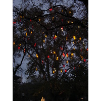 รูปถ่าย ออสเตรีย(Austria) เวียนนา(Vienna) 2001-11 91