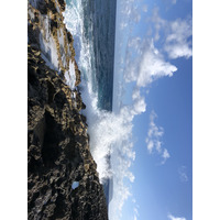 รูปถ่าย กวาเดอลูป(Guadeloupe) แหลมคาสเซิลพอยต์(Castle Point) 2021-02 238