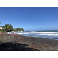 รูปถ่าย กวาเดอลูป(Guadeloupe) บานาเนีย(Bananier) 2021-02 19
