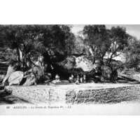 รูปถ่าย ฝรั่งเศส(France) คอร์สิคา(Corsica) โปสการ์ดเก่า(Old Postcards) 1900-01 32