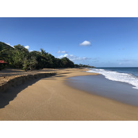 รูปถ่าย กวาเดอลูป(Guadeloupe) หาดลาแปร์ล(La Perle Beach) 2021-02 19