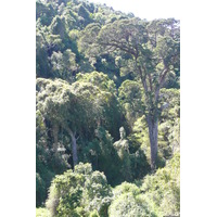 รูปถ่าย แอฟริกาใต้(South Africa) หุบเขาเนเจอร์ส(Nature's Valley) 2008-09 29