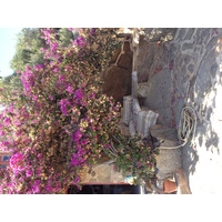 รูปถ่าย กรีก(Greece) เกาะมิโคนอส(Mykonos) 2014-07 8