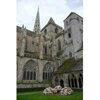 รูปถ่าย ฝรั่งเศส(France) เทรกีเอ(Treguier) 2007-08 49
