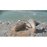 รูปถ่าย อิสราเอล(Israel) อึนโบเกก(Boqeq) 2007-06 88