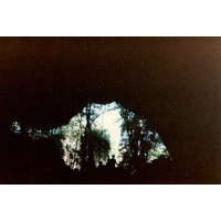 รูปถ่าย ไทย(Thailand) เกาะพีพี(Ko Phi Phi) 1989-02 9