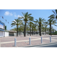 รูปถ่าย อิสราเอล(Israel) เทลอาวีฟ(Tel Aviv) ถนนโรกัค(Rokach Street) 2007-06 7
