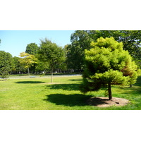รูปถ่าย ฝรั่งเศส(France) ปารีส(Paris) สวนราเนอลาก(Jardins du Ranelagh) 2007-08 102