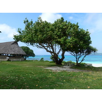 รูปถ่าย นิวแคลิโดเนีย(New Caledonia) 2010-05 88
