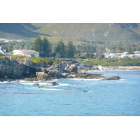 รูปถ่าย แอฟริกาใต้(South Africa) เฮอร์มานัส(Harmanus) 2008-09 21