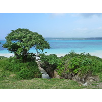 รูปถ่าย นิวแคลิโดเนีย(New Caledonia) เกาะลีฟู(Lifou) ลูเอซิลลา(Luecilla) 2010-05 50
