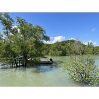 รูปถ่าย ไทย(Thailand) เกาะพังงา(Phang Nga Bay) 2021-12 124