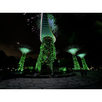 รูปถ่าย สิงคโปร์(Singapore) การ์เดนส์บายเดอะเบย์(Garden by the bay) 2023-01 6