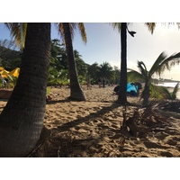 รูปถ่าย กวาเดอลูป(Guadeloupe) หาดลาแปร์ล(La Perle Beach) 2021-02 122