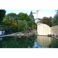 รูปถ่าย ฝรั่งเศส(France) นีส(Nice) สวนฟีนิกซ์(Phoenix Parc) 2007-10 69