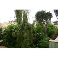รูปถ่าย โมร็อกโก(Morocco) เฟส(Fes) โรงแรมปาเลจาไม(Palais Jamai Hotel) 2008-07 99