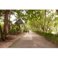 รูปถ่าย เซเชลส์(Seychelles) เกาะลาดีก(La Digue) 2011-10 216