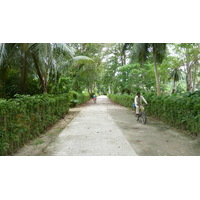 รูปถ่าย เซเชลส์(Seychelles) เกาะลาดีก(La Digue) 2011-10 205