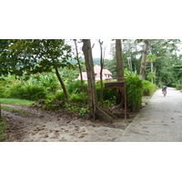 รูปถ่าย เซเชลส์(Seychelles) เกาะลาดีก(La Digue) 2011-10 42