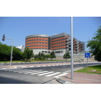 รูปถ่าย อิสราเอล(Israel) เทลอาวีฟ(Tel Aviv) ถนนโรกัค(Rokach Street) 2007-06 15
