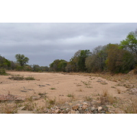 รูปถ่าย แอฟริกาใต้(South Africa) อุทยานแห่งชาติครูเกอร์(Kruger National Park) 2008-09 42