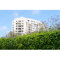 รูปถ่าย อิสราเอล(Israel) เทลอาวีฟ(Tel Aviv) ถนนโรกัค(Rokach Street) 2007-06 33