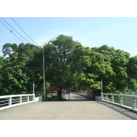 รูปถ่าย ไทย(Thailand) กรุงเทพมหานคร(Bangkok) สวนลุมพินี(Lumpini Park) 2005-12 19