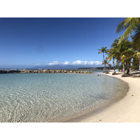 รูปถ่าย กวาเดอลูป(Guadeloupe) แซ็งตาน(Sainte Anne) 2021-02 8