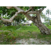 รูปถ่าย นิวแคลิโดเนีย(New Caledonia) เกาะต้นสน(Ile des pins) หาดคูโต(Kuto Beach) 2010-05 14