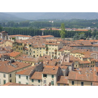 รูปถ่าย อิตาลี(Italy) ลุคคา(Lucca) 2002-07 111