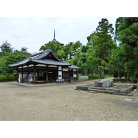 รูปถ่าย ญี่ปุ่น(Japan) เกียวโต(Kyoto) วัดนินนะจิ(Ninna ji Temple) 2010-06 22