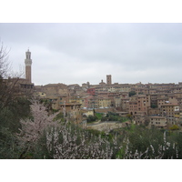 รูปถ่าย อิตาลี(Italy) ซีเอน่า(Siena) 2004-03 37
