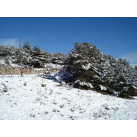 รูปถ่าย ฝรั่งเศส(France) ถนนจากกูร์เซกูลไปเกรโอลีแยร์-เล-เนจ(Coursegoule to Greolieres les neiges road) 2007-01 69
