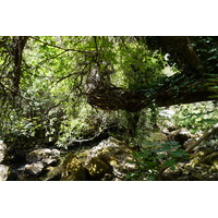 รูปถ่าย ฝรั่งเศส(France) ฟงแตน-เดอ-โวกลูซ(Fontaine-de-Vaucluse) 2017-08 54